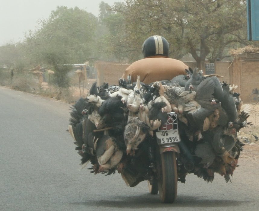 De nuevo en Rimkieta! Esta vez por 9 días! 31 de marzo, DIA 1