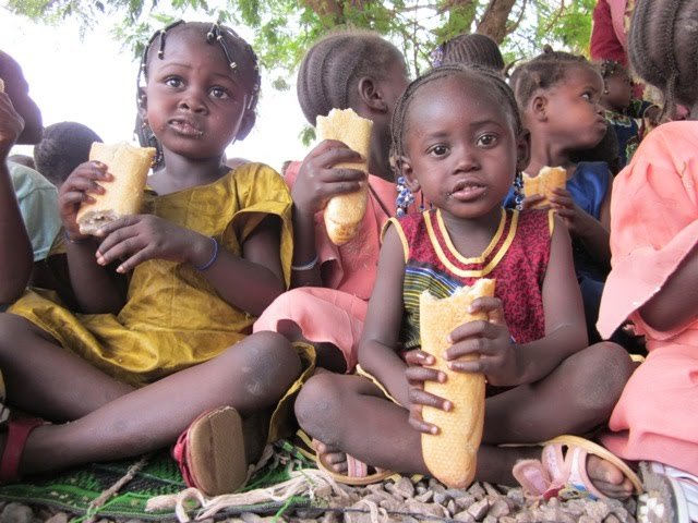 Salida cultural educativa a Fasoparc!