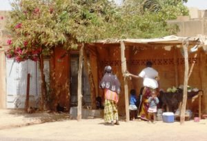 The shadow of a FAR's 2013 plantation