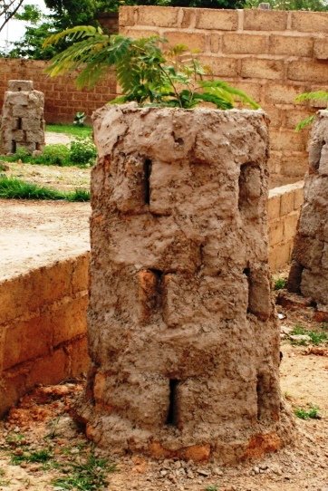 Protección de adobe plantación 2016