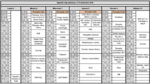 Agenda viaje patronos diciembre 2016