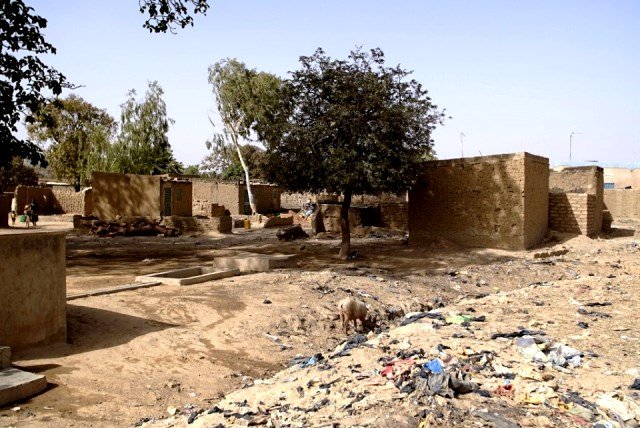 Adelphe Walks Again!!