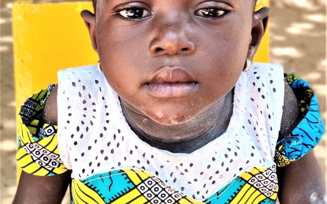 Three-and-a-half Very Rewarding Weeks